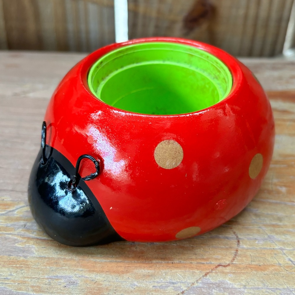 Rocket Farms Red Lovebug Ladybug Mini Planter Gold Polka Dots